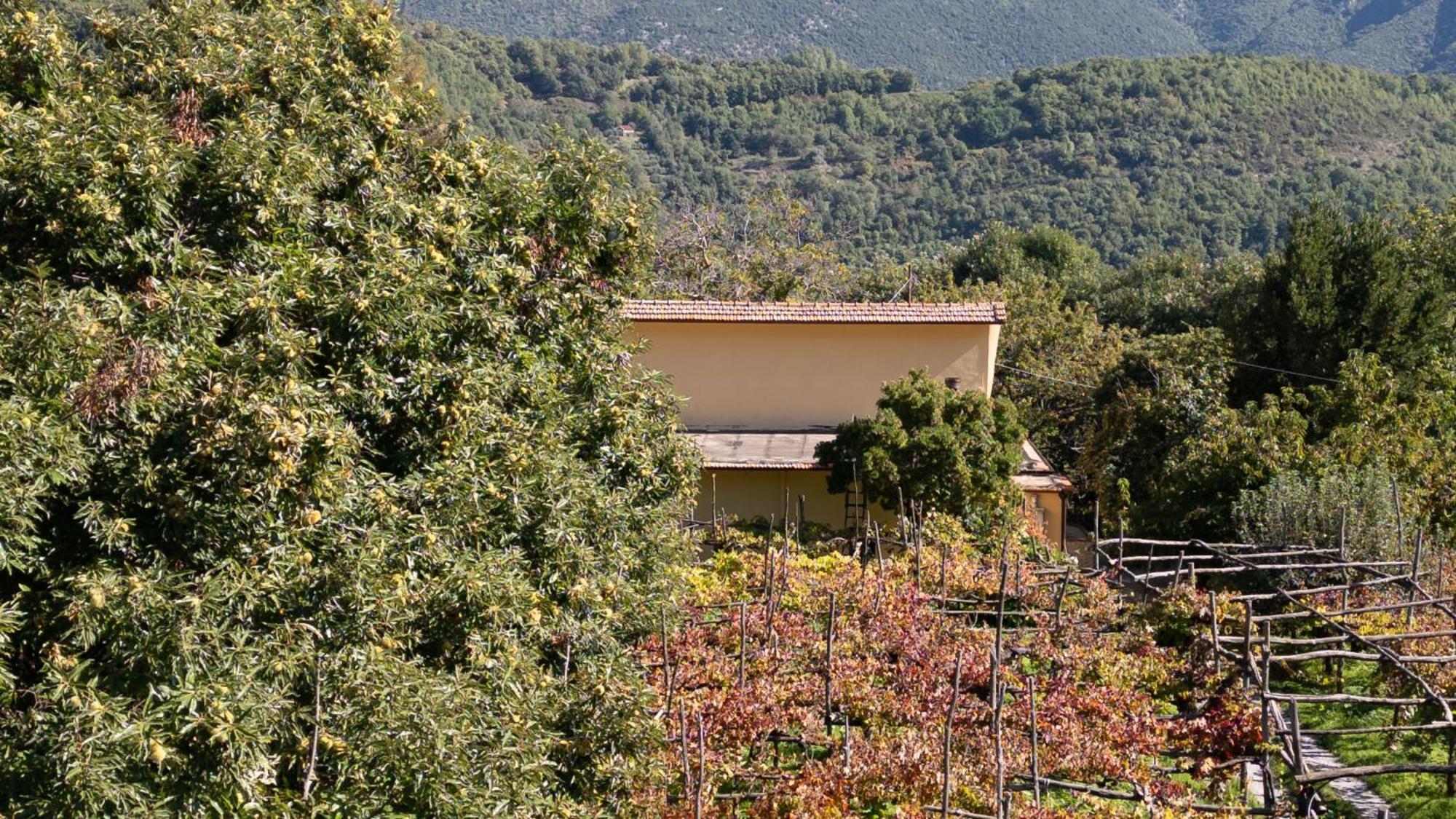 הוילה טרמונטי Casa Giordano מראה חיצוני תמונה